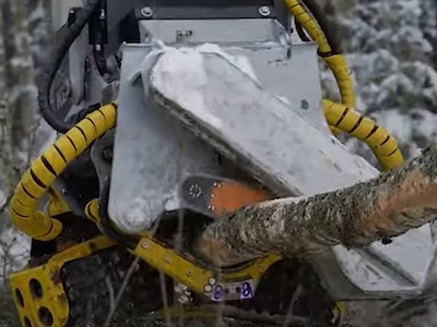Saw system