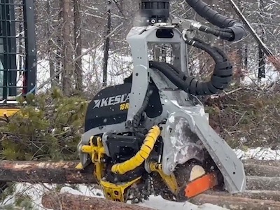 Kesla 18RH-II saw system
