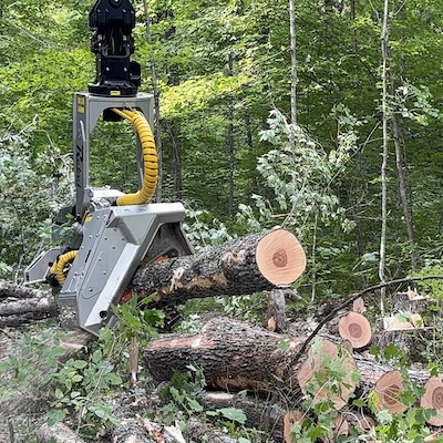 Saw system